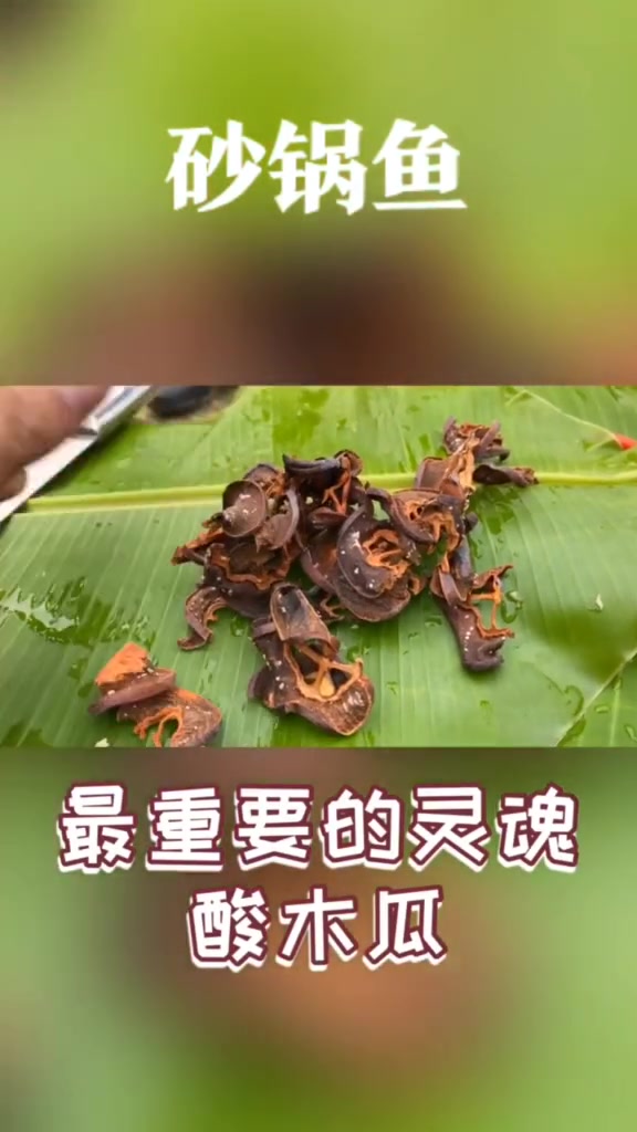 #芒市奇葩美食之傣味砂锅鱼,闻到香味没?#dou是云南范儿