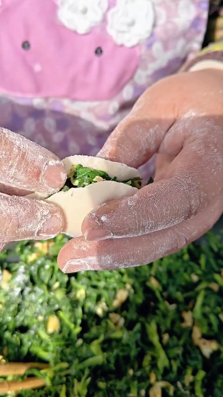 前两天刚摘的野菜，今天就做成饺子！河南农村特色面条菜，鲜嫩清香，这才是春天的味道～