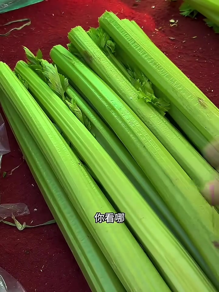 第39集｜东北早市土豆哥揭秘：早市芹菜挑选大法，让你一次买对脆嫩的西芹，避免踩坑！怎么区分