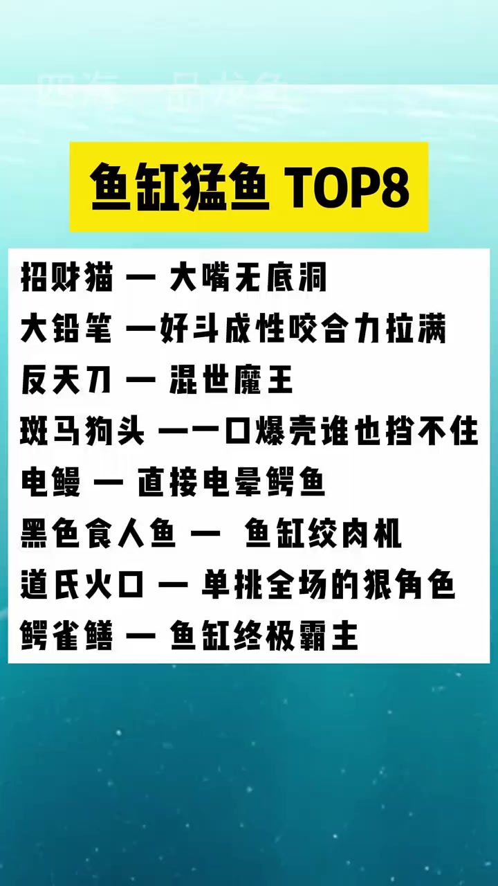 鱼缸猛鱼 TOP8#玩个很新的东西嘿嘿#我的世界你不懂#来左边和我一起画个龙#文字的力量