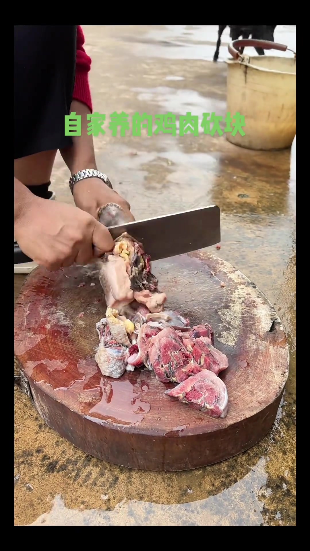 云南吃菌季，红菇炖鸡汤，家乡鲜滋味