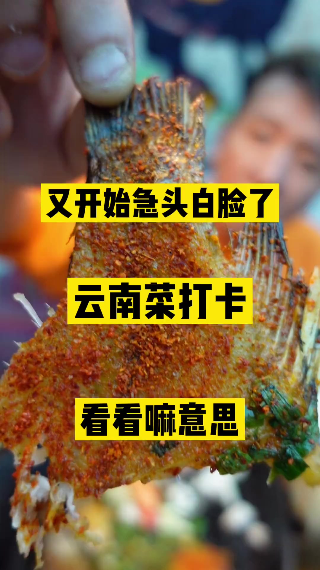 今天来来云南菜