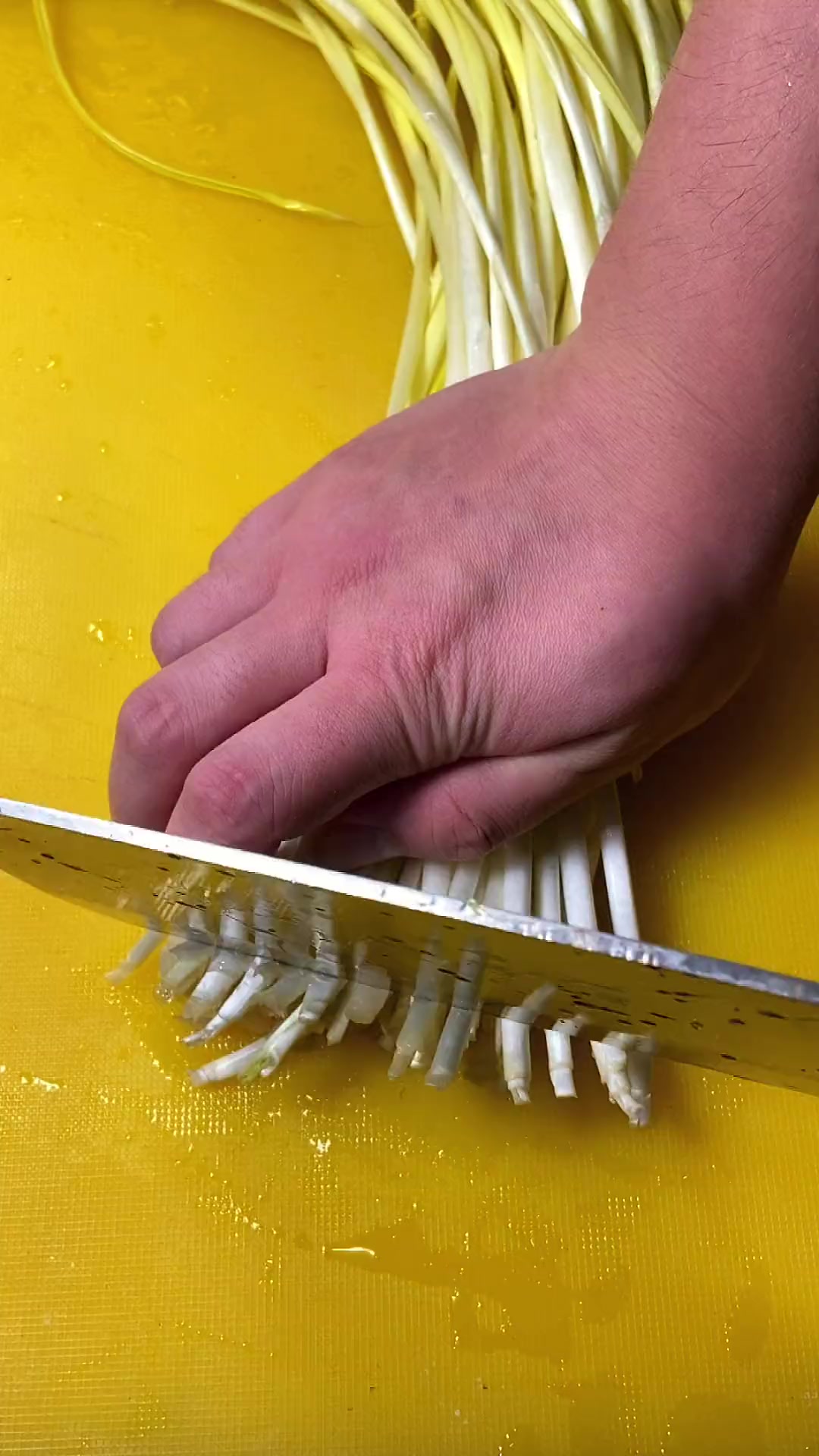 家常菜：超级下饭的蒜黄炒肉丝