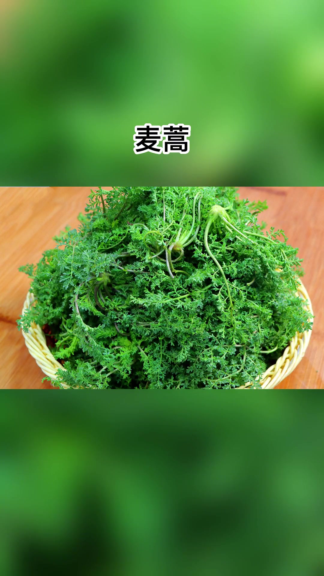 山东春天这些野菜，你认识几种呀？