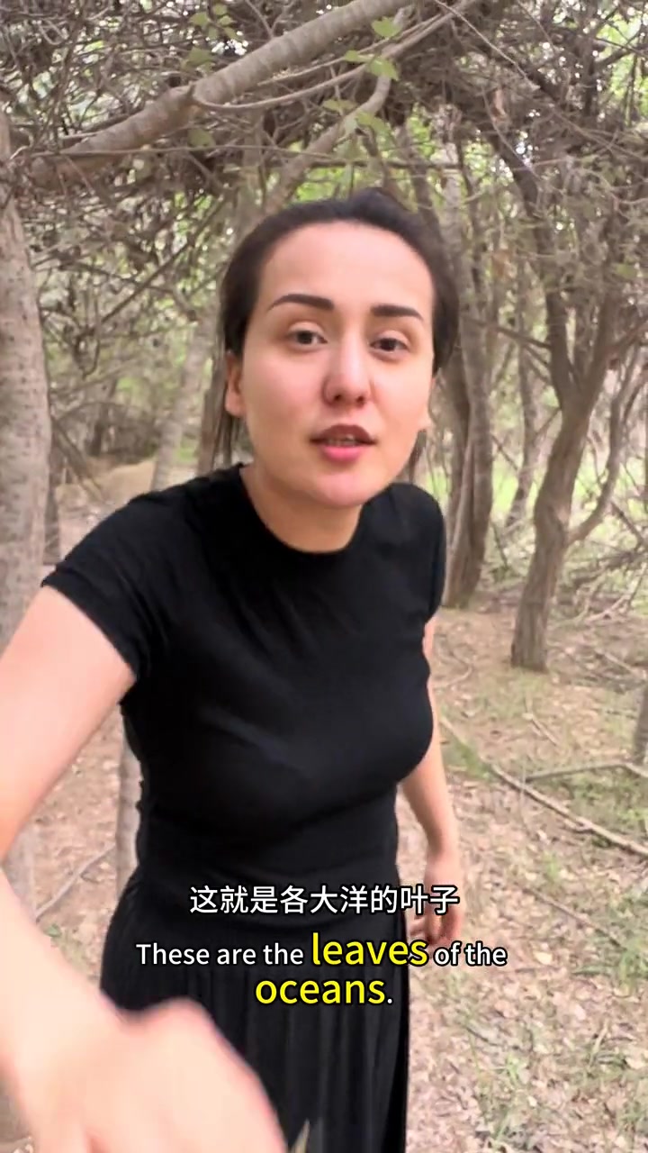 新疆特有珍稀树种疙瘩样的长这个样子给大家看看!