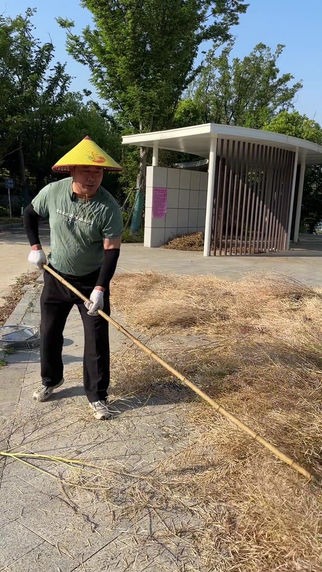第59集：农村打油菜籽，你会使用梿枷这一农具吗？
