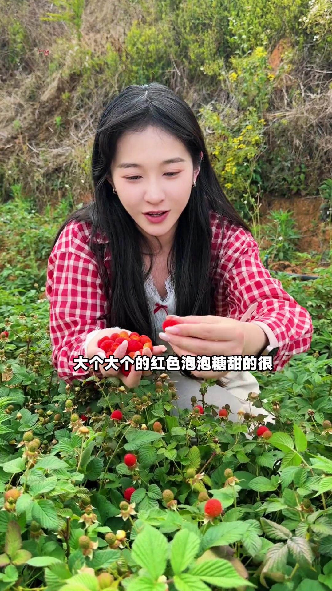 广州人均十元摘一整天,可钓鱼烧烤,亲子游玩好去处!