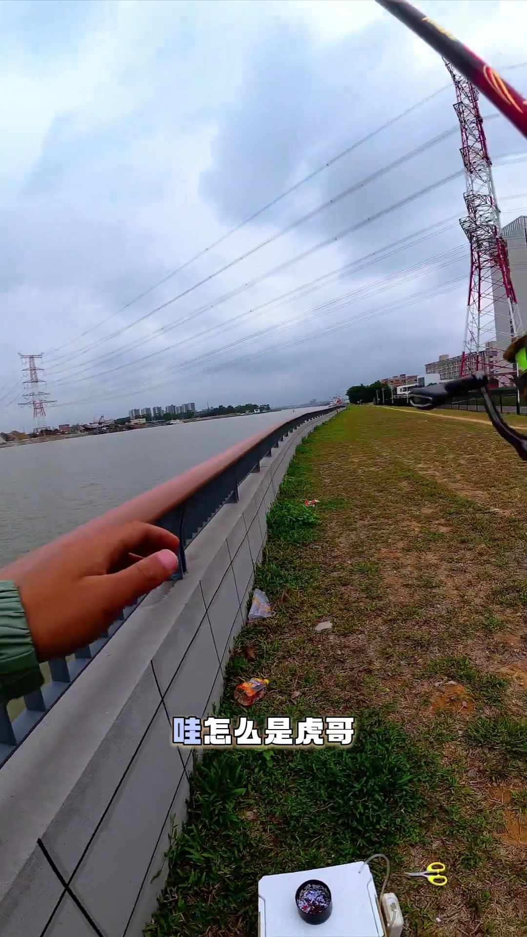 阴雨天,东莞白天钓黄脚腊,浮游矶钓更佳