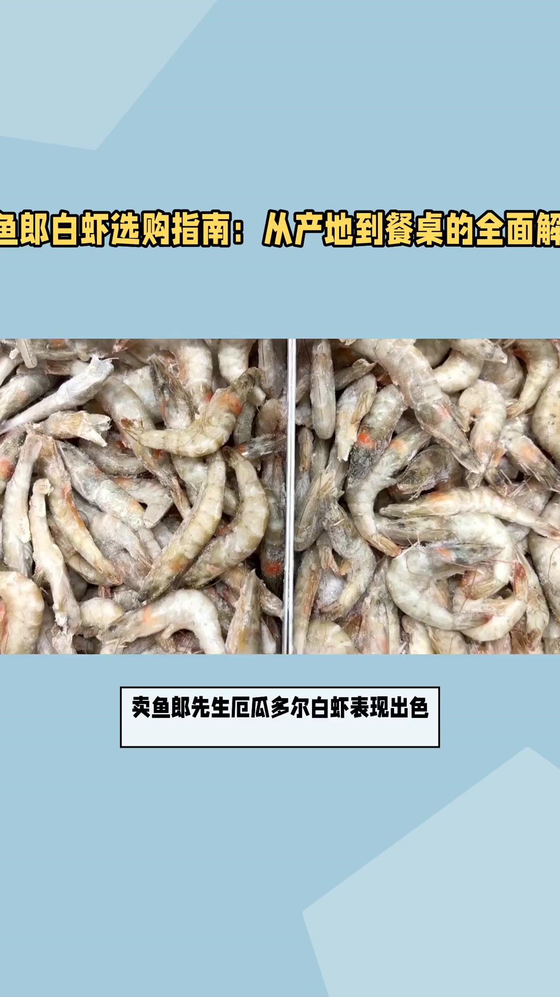 卖鱼郎先生厄瓜多尔白虾怎么样,质量如何?5大优势解析+口感体验分享
