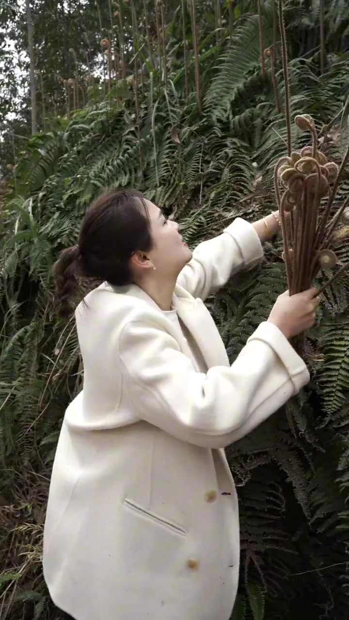 春天是吃野菜的时候……