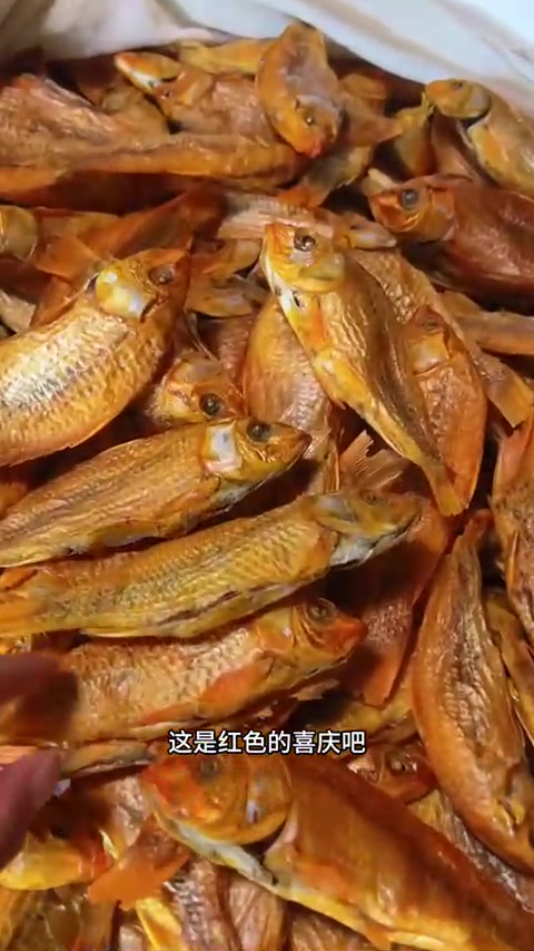 红田鱼好看可欣赏,上桌送礼都合适!