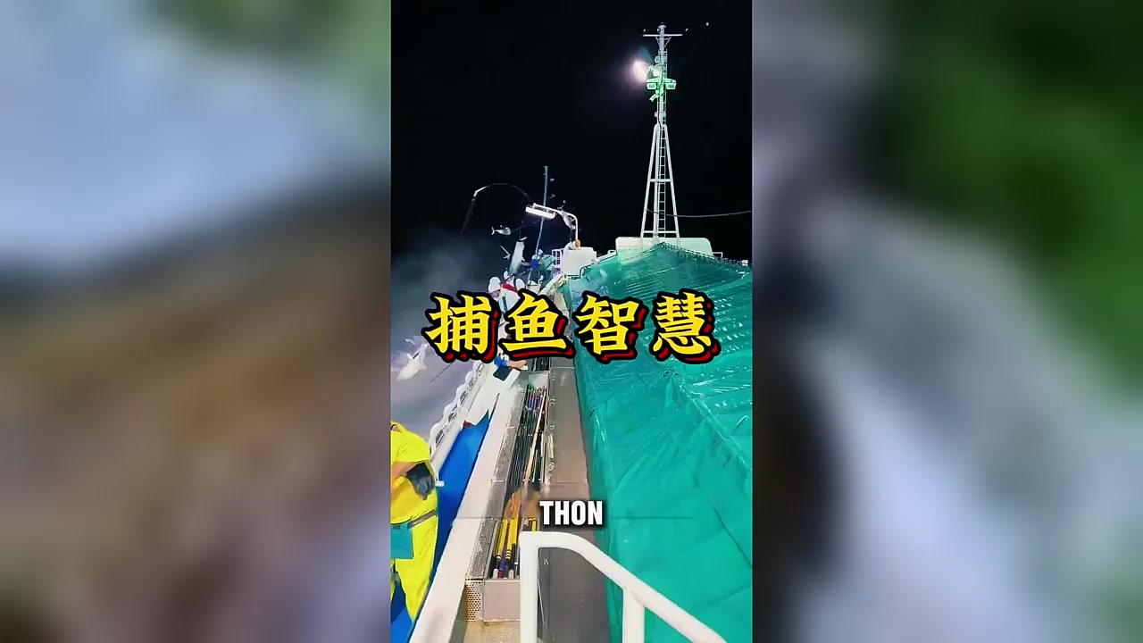 一小时捕获9吨鱼?揭秘金枪鱼渔船的高效捕捞技术