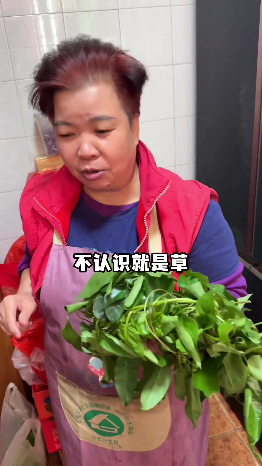 边唱跳边做滑蛋牛肉饭与鸡屎藤糕