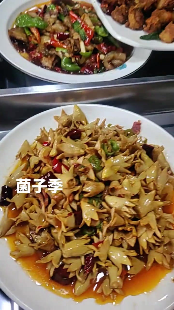干不动了，偷会懒，小鸡炖蘑菇，云南野生菌美食