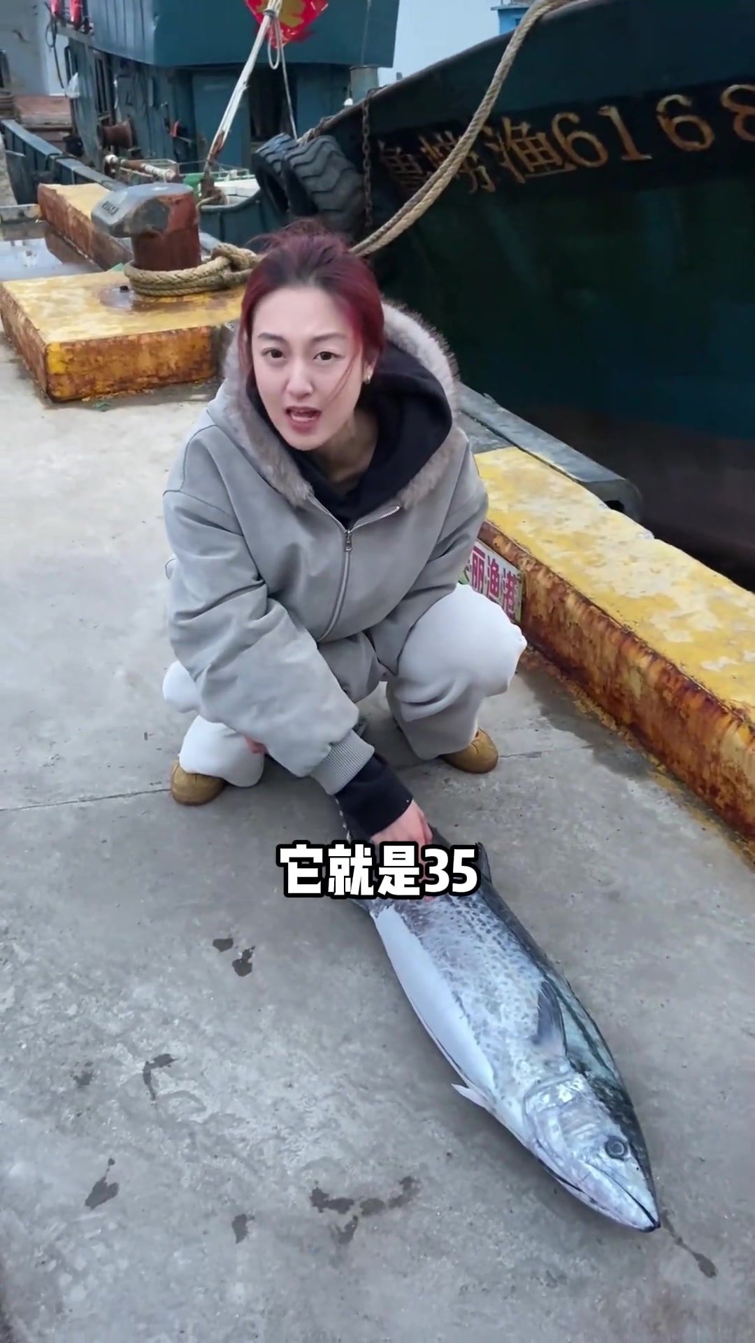 青岛本地鲅鱼如何辨别?沙子口上岸的就是吗?