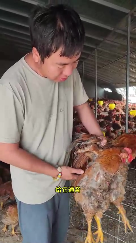 鼻子粘毛，单侧眼睛肿，到底咋回事！