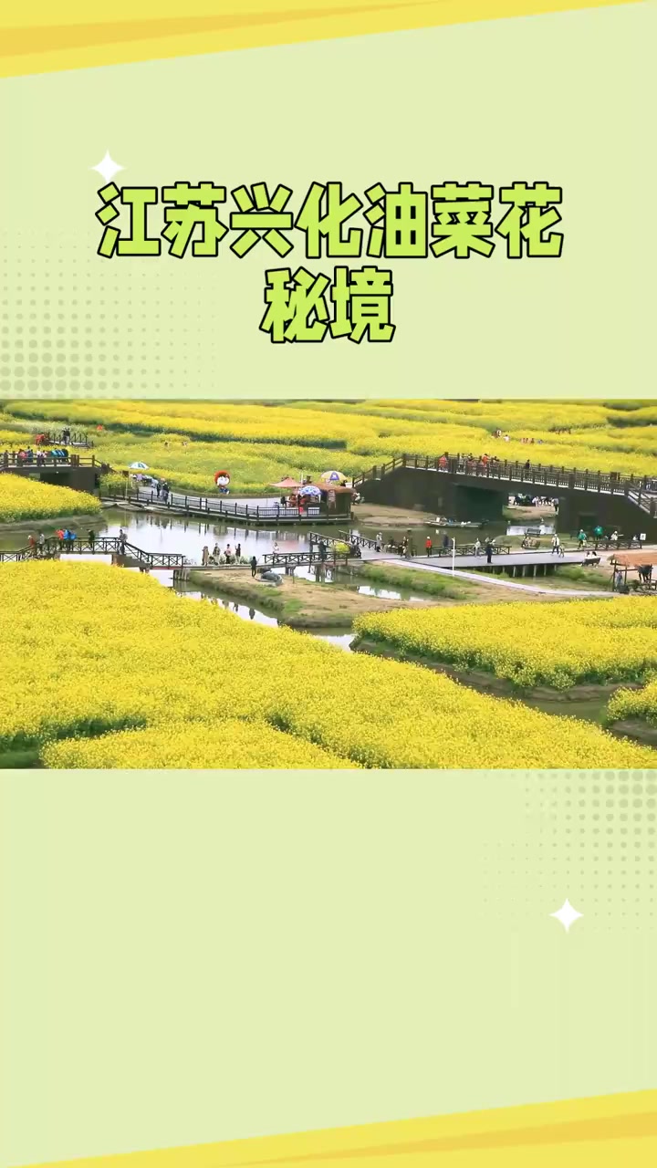 江苏兴化油菜花秘境