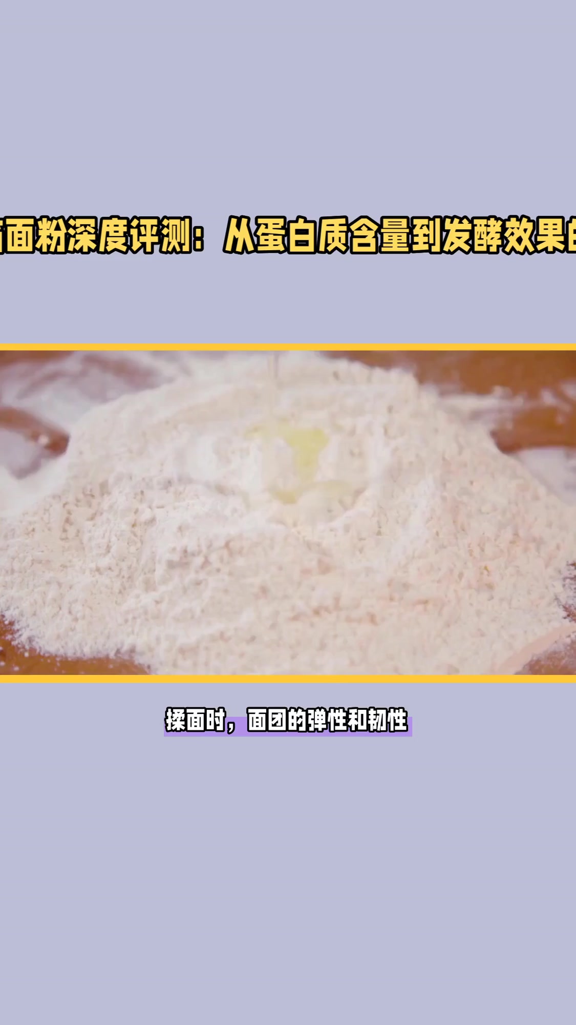 新良面包粉哪个好？三款热门产品深度对比+实操体验解析