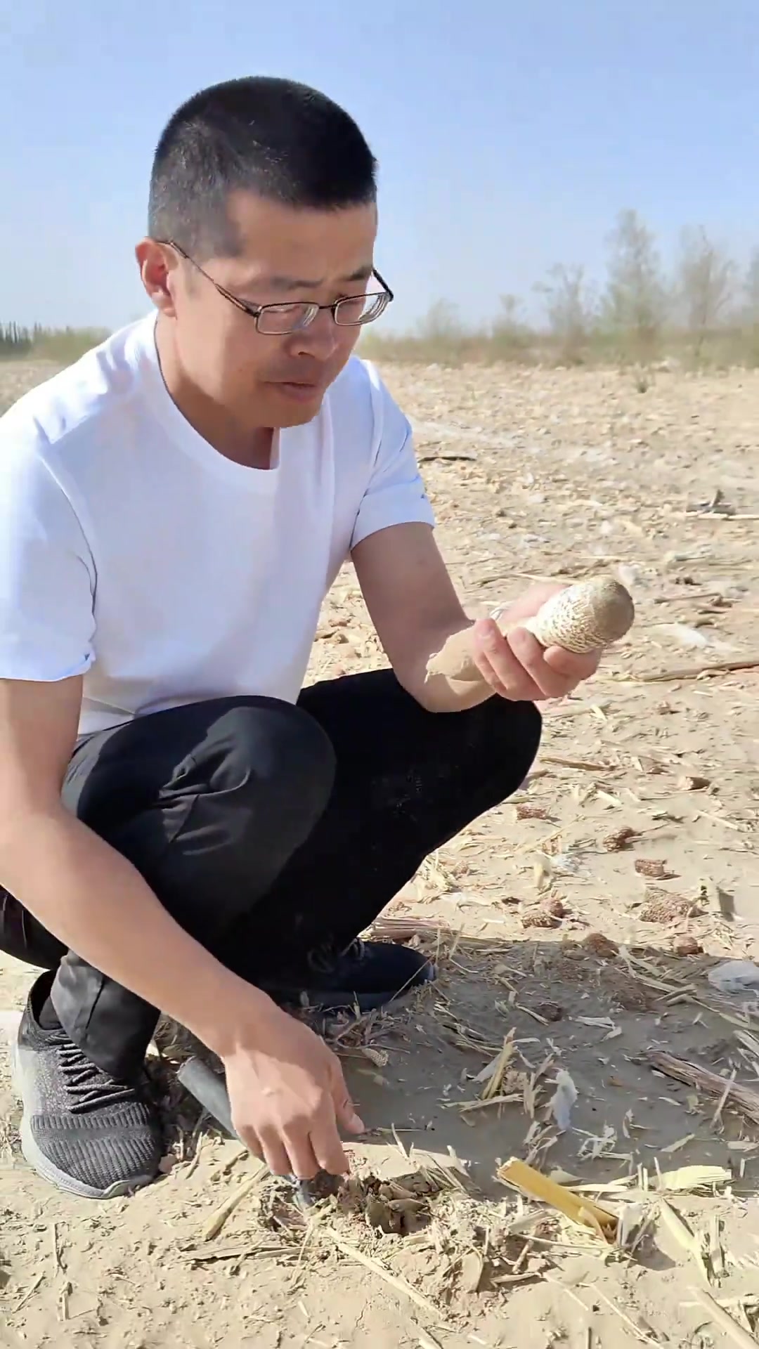 山东挖到15厘米巨型鸡腿菇,肉质饱满,超满足!
