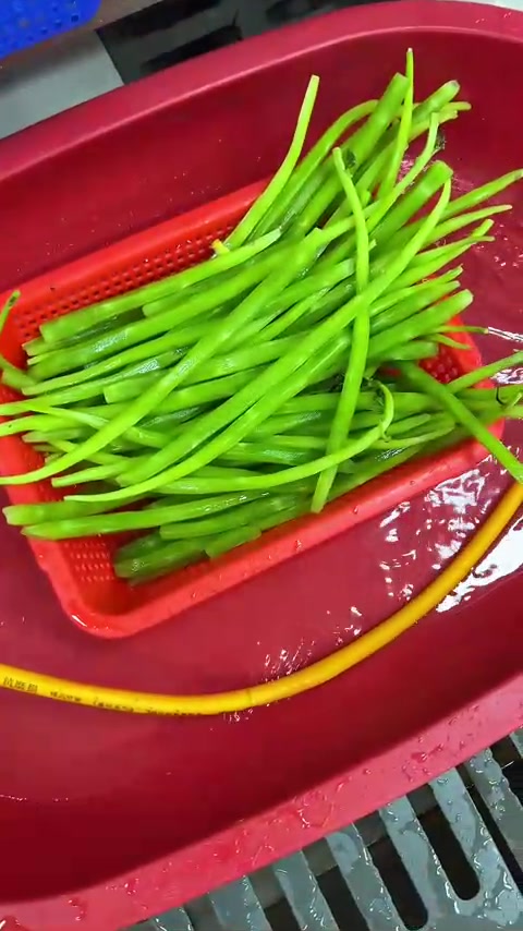 1分钟看餐饮人后厨备菜，从食材到菜品，六菜一汤荤素搭配