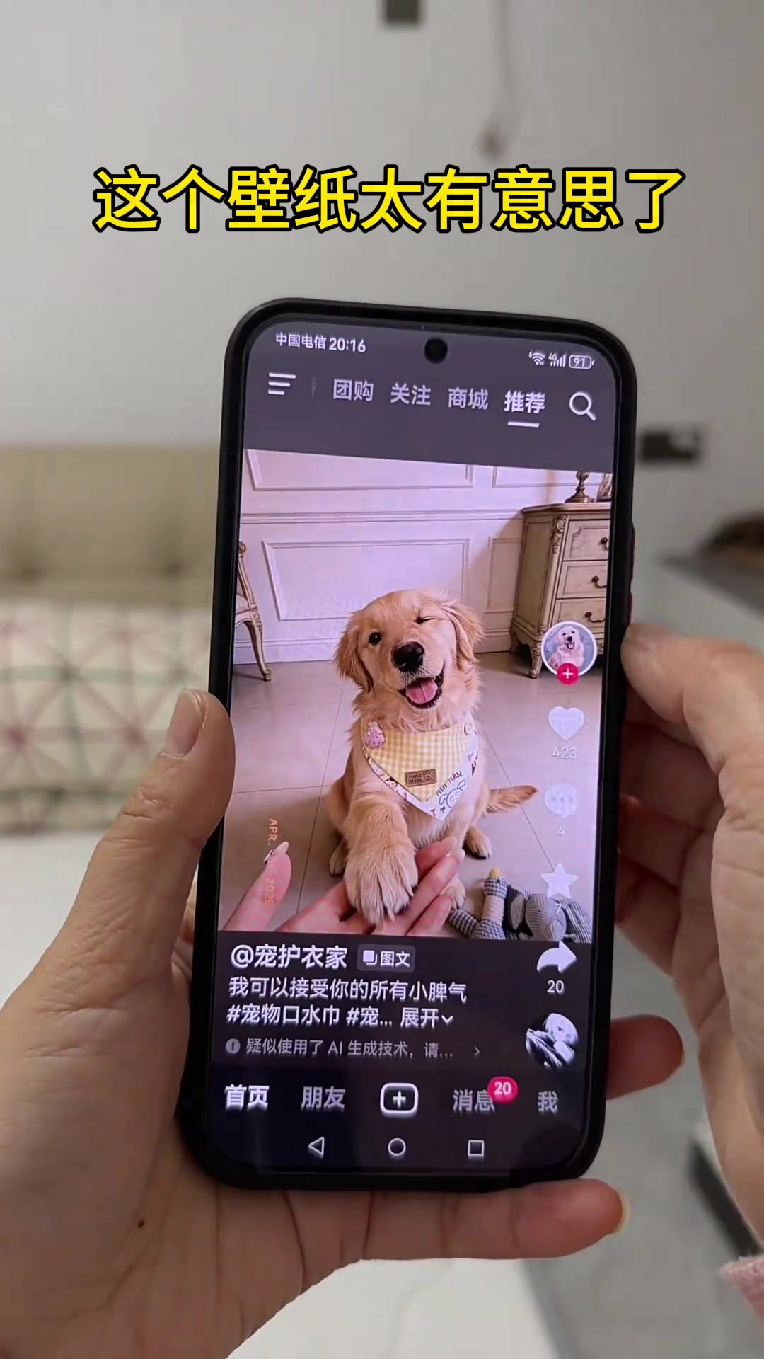 熊非熊偷看手机动态壁纸,取图教程来了!长沙