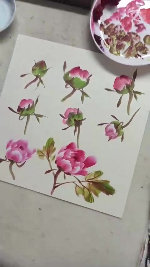 各种牡丹花苞画法
