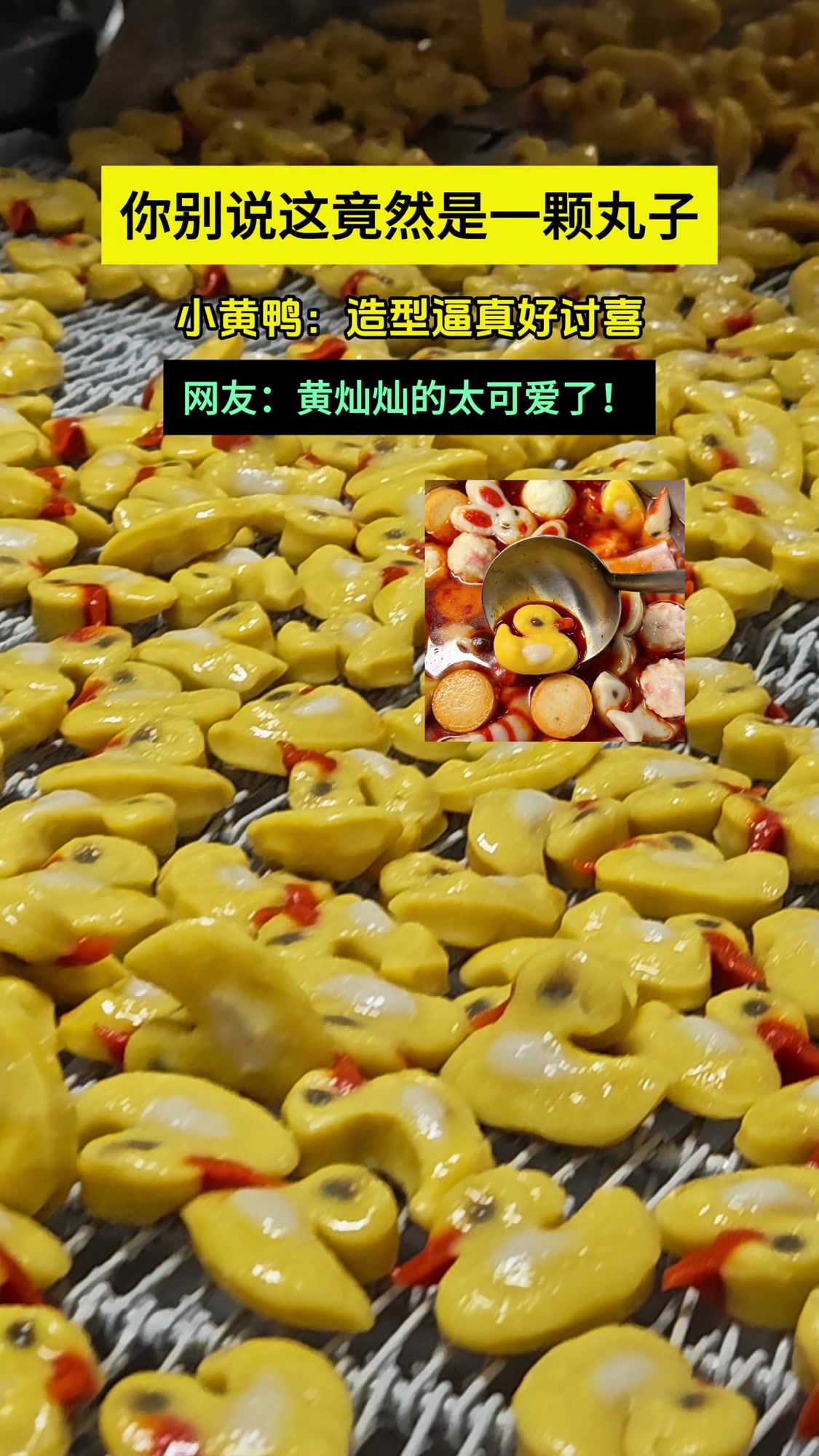 火锅丸子小黄鸭子