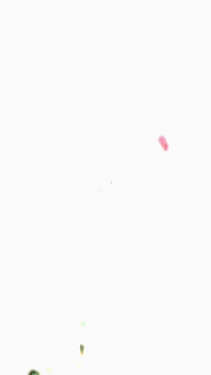 #知识播种计划 红冠耀日鸿运当头、一鸣惊人吉祥如意，工笔画公鸡！#工笔画 #感受国画意境之