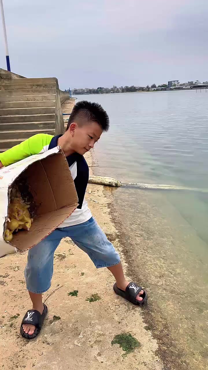 靠海吃海,住靠近海边的好处就是想吃鱼就自己下去抓,还可以玩水!#鸭子戏水 #鸭子抓鱼 #童