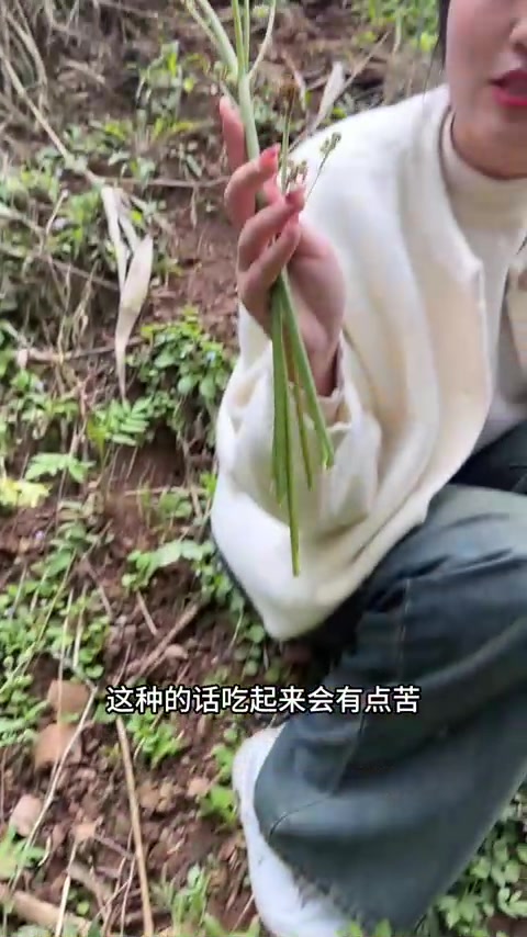 我们当地常吃的两种蕨菜，山蕨菜和水蕨菜，你更爱哪一种？