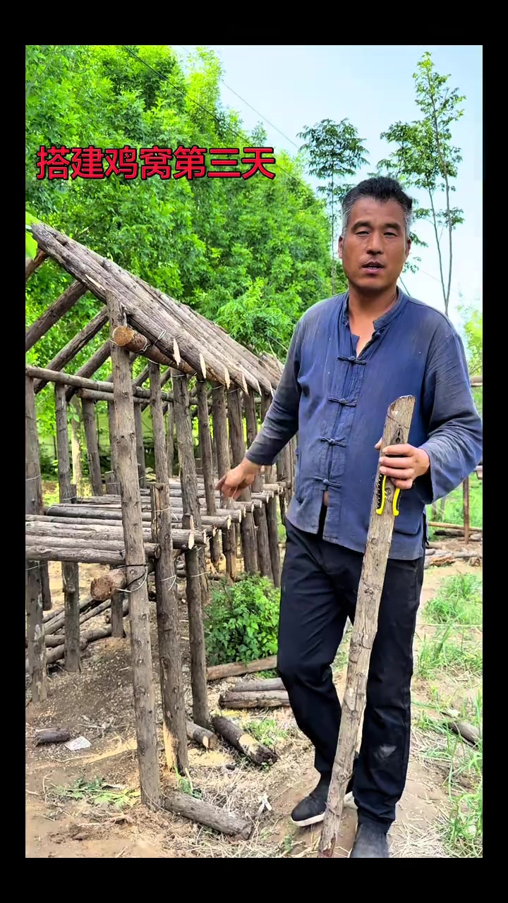 农村人手工搭建鸡窝,实干致富,关注胜哥,共享新家成果
