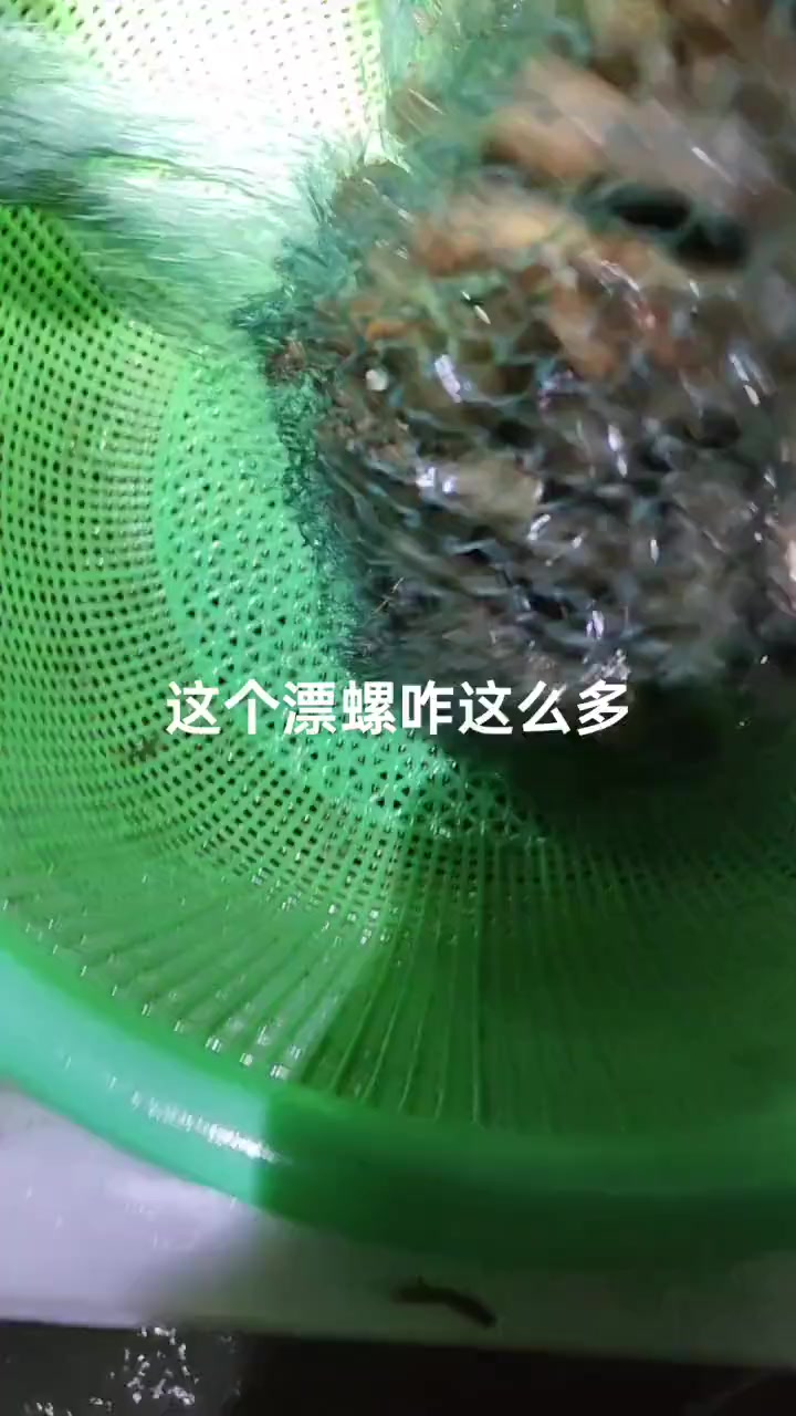 高效有趣的小龙虾养殖方法!