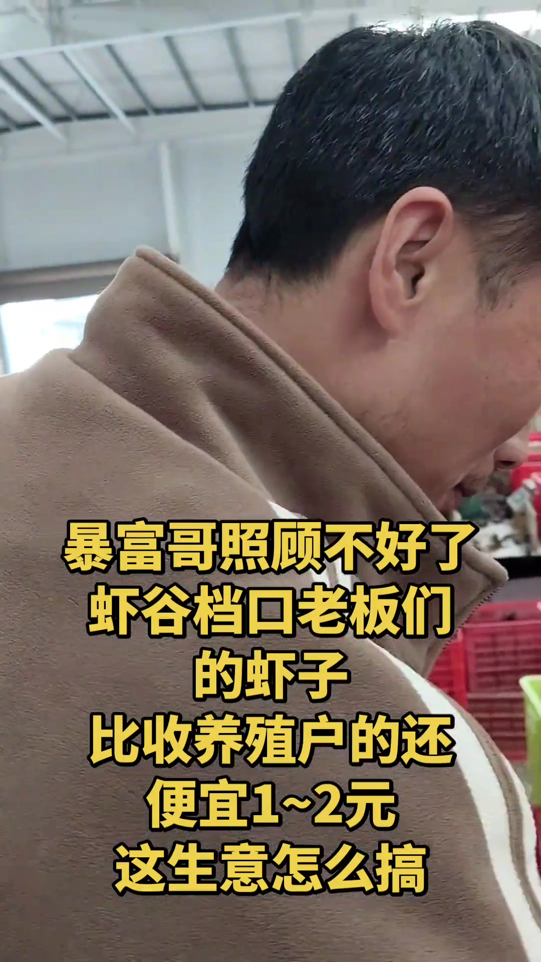暴富哥照顾不好了，小龙虾价格，湖北潜江玲力水产批发