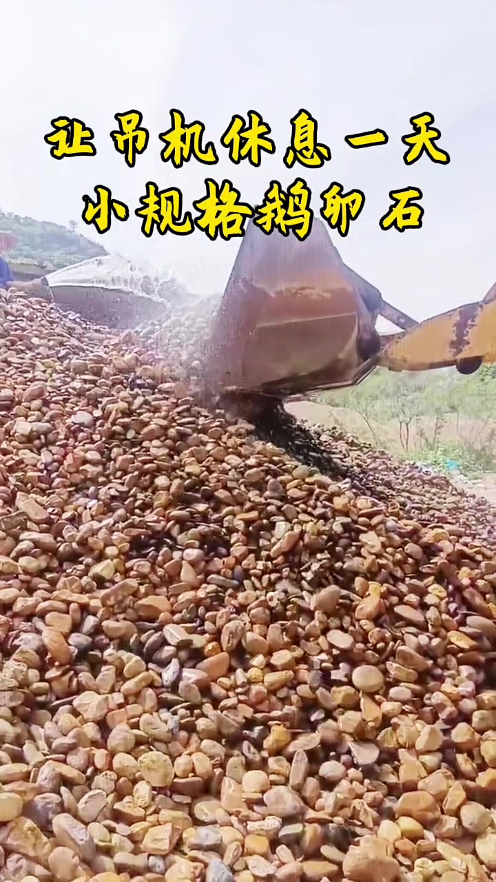 小规格鹅卵石#鹅卵石#景观石
