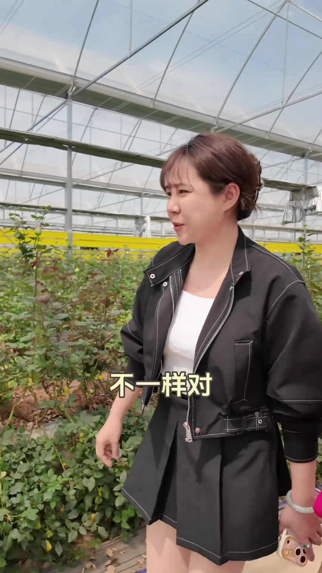 探访佰盛美5A鲜花基地，云南花卉批发市场！昆明