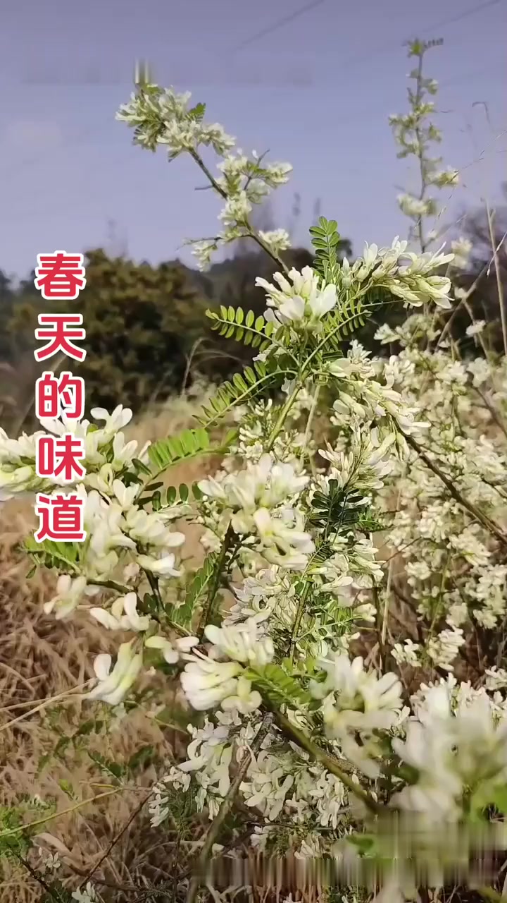 小时候最喜欢克的地方，就是外婆家，外婆总是把好吃的留给我们，外婆的味道其实就是幸福的味道