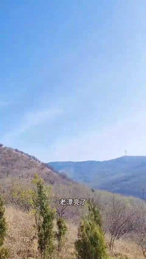 爬山采山麻楂，吃农家饭。婆婆丁，曲麻菜，小根蒜也可以挖