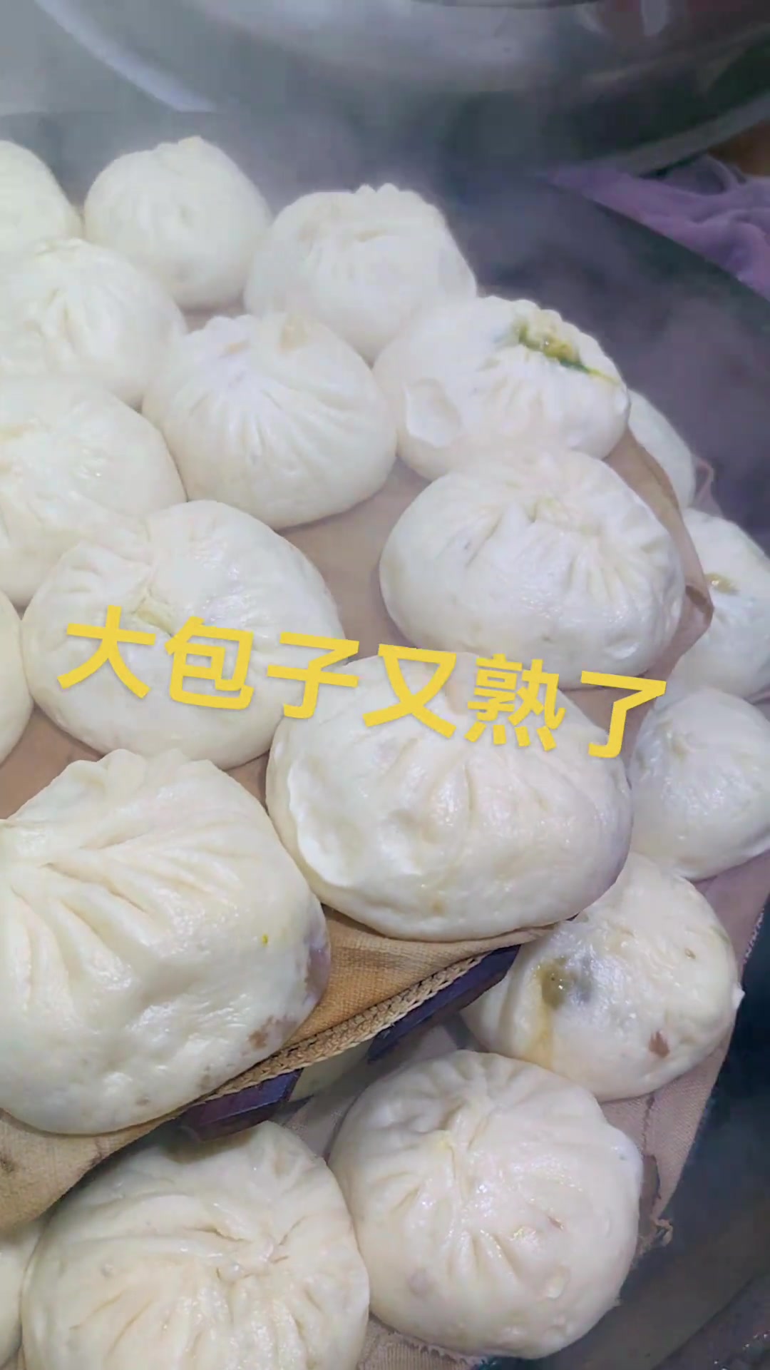 自制香喷喷的韭菜、马齿菜肉块大包子