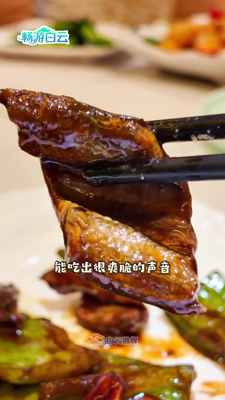 鸡有鸡味,叉烧有牛肉味!白云区这家老牌私房粤菜里的招牌菜你又吃过多少呢?#畅游白云 #24