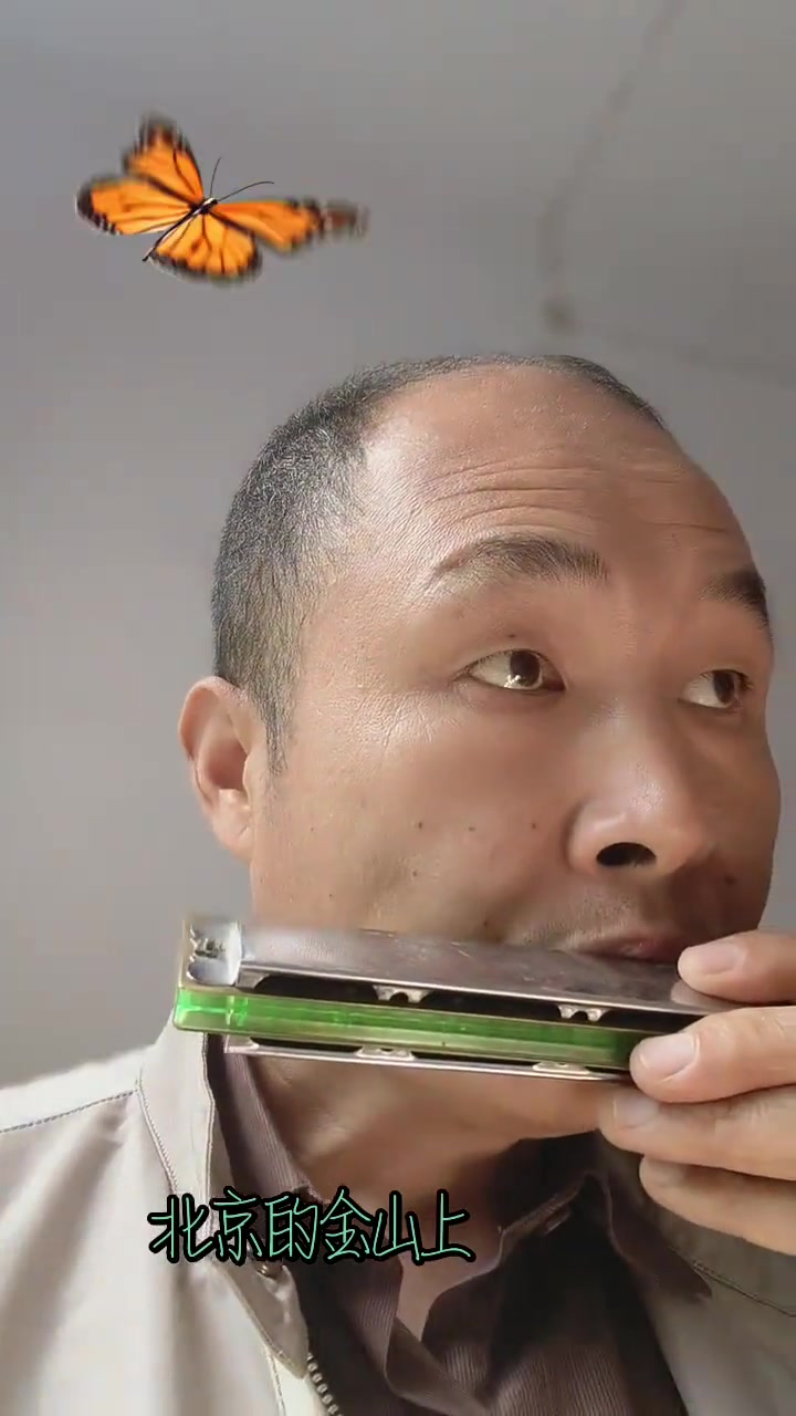 口琴独奏