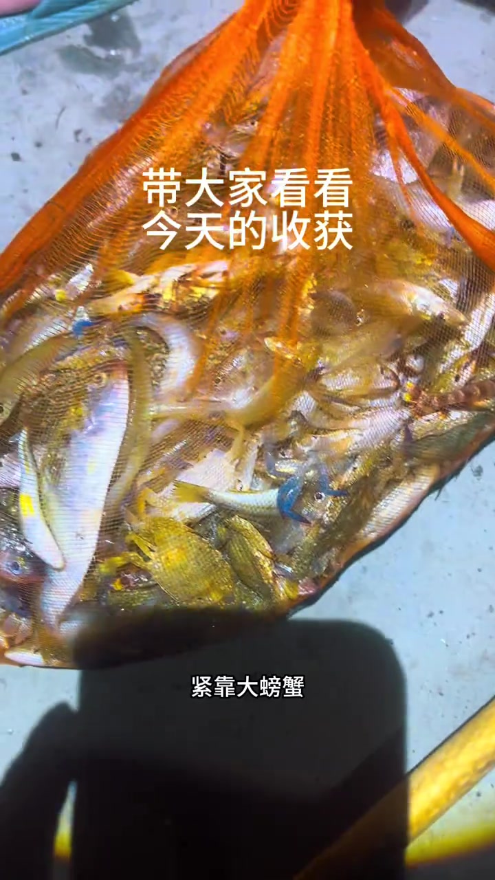 跟着渔民赶海抓鱼,抓虾,抓螃蟹是什么体验?广西北海