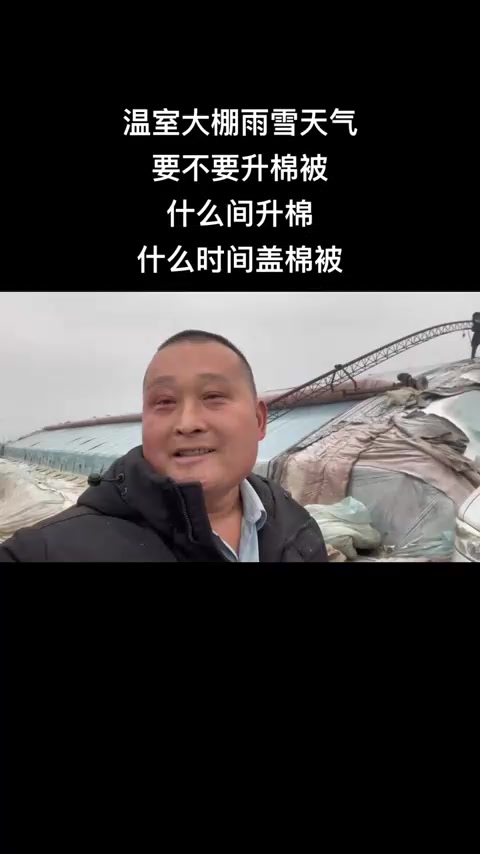 温室大棚甜瓜管理种植技术