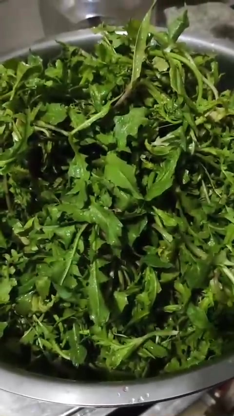 荠荠菜今年太多了,根本吃不完,现在已经开花结籽了
