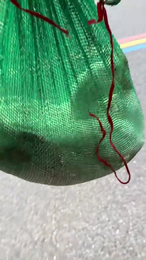 铁锅炖大鹅
