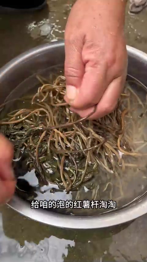 俺大娘做的红薯杆梅菜扣肉!做法简单,软烂入味,老少皆宜!