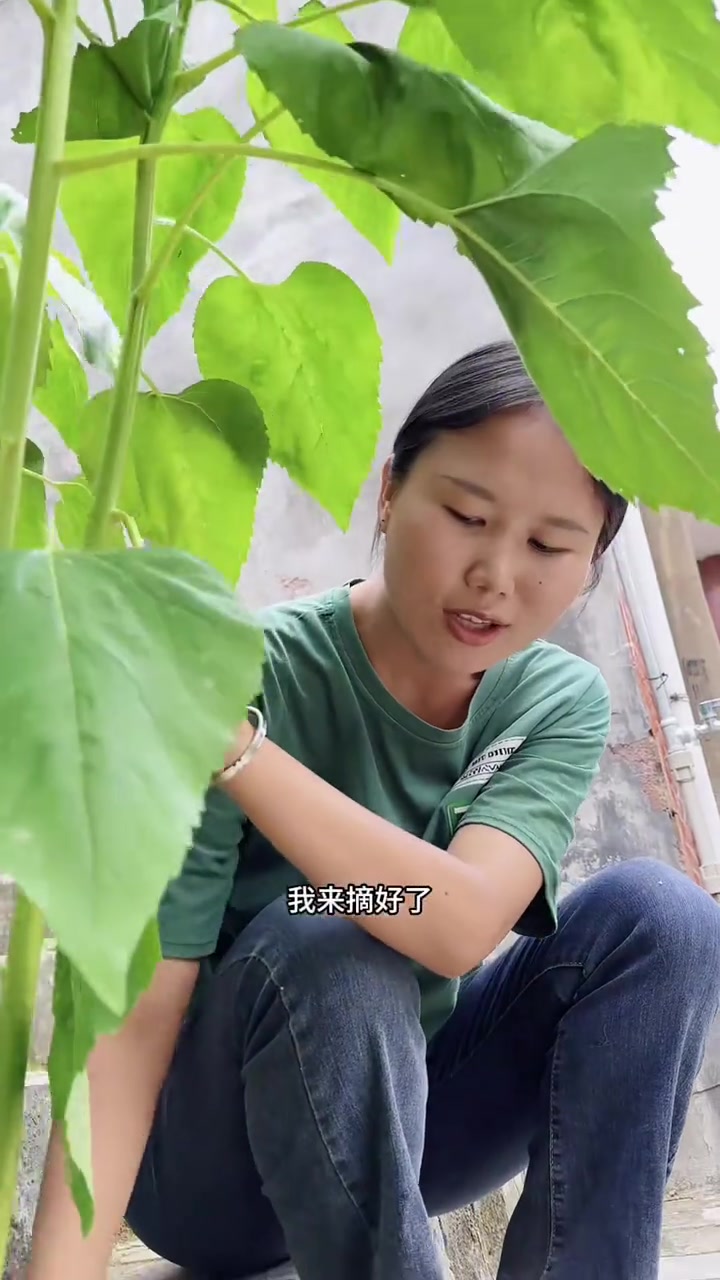 在农村只要你勤快一点，菜园里就可以有吃不完的新鲜瓜果蔬菜，今天趁新鲜摘了一些豆角回来，做了