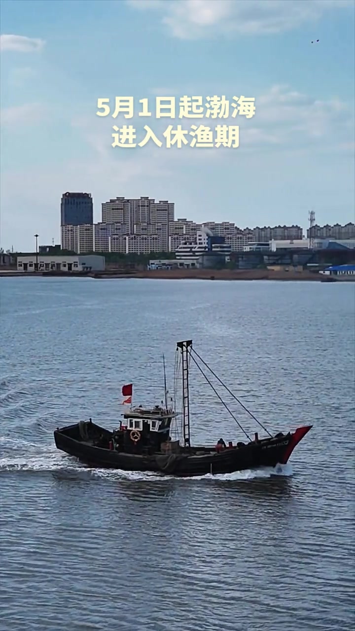 5月1日中午12时起-9月1日12时,渤海湾开始进入休渔期,渔船全部禁止出海捕鱼,营口地区