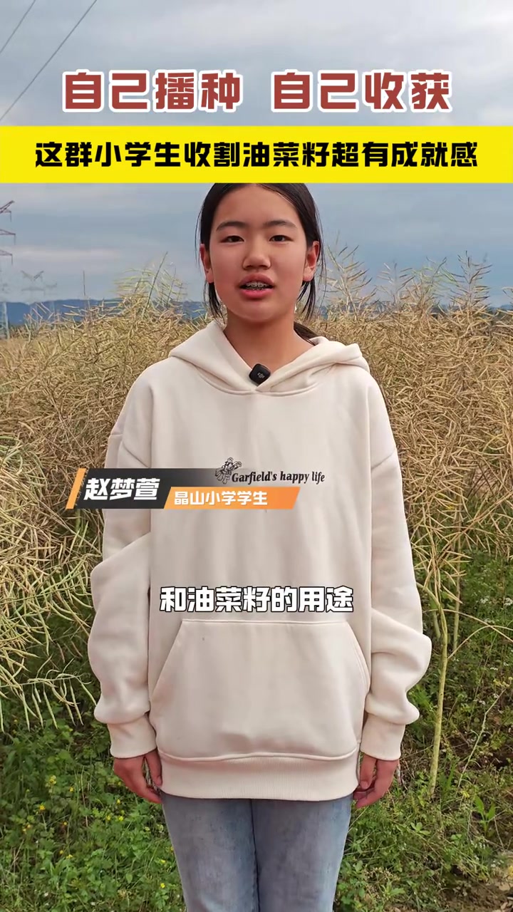 自己播种,自己收获。长寿晶山小学的学生们在劳动教育基地收割油菜籽超有成就感