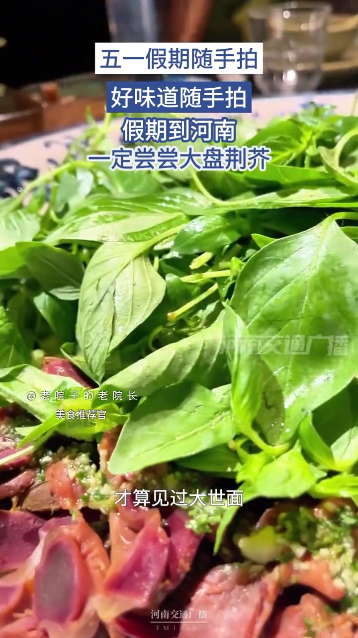 好味道随手拍 五一假期到河南,一定来份大盘荆芥,得劲!#五一假期随手拍 #好味道随手拍