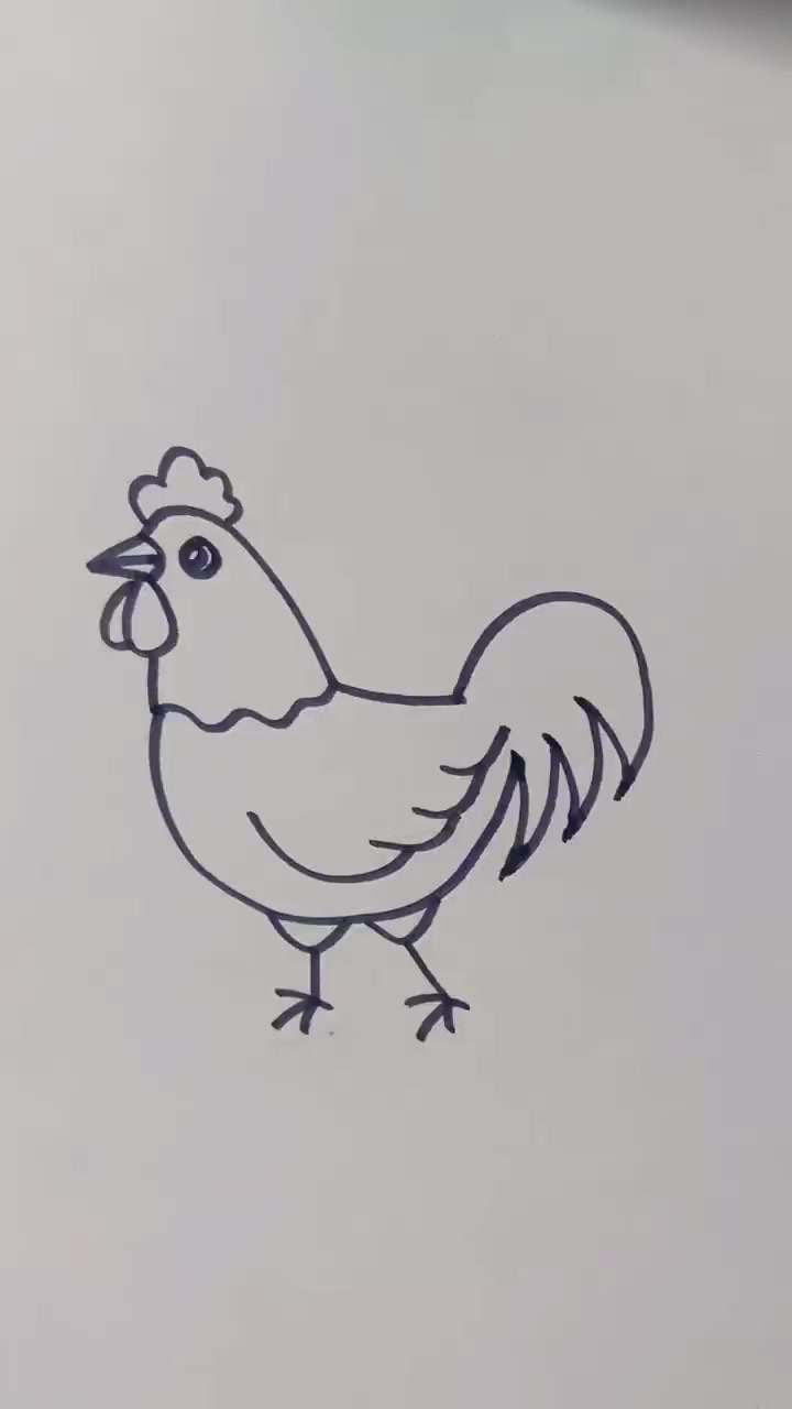 简笔画大公鸡
